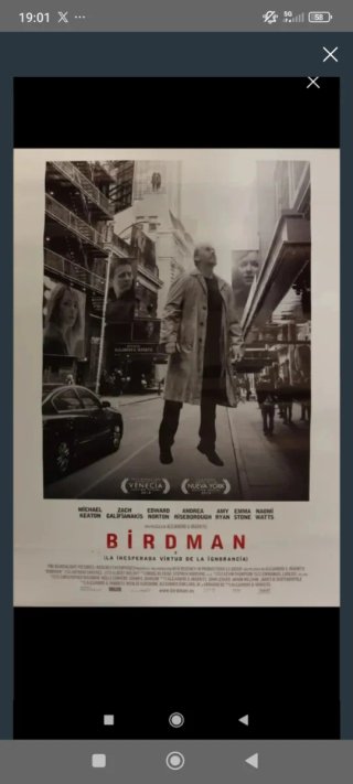 Póster de película Birdman