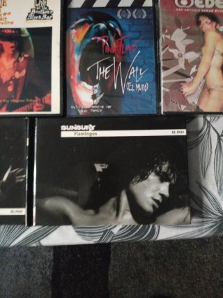 Lote 19 DVDs Queen, Bunbury,Pretenders,etc.