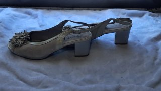 Zapatos Pitillo Beige Mujer Flores Tacón Talla39