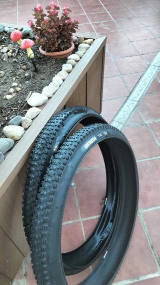 Neumáticos Maxxis Bici23 Eléctrica precio 2