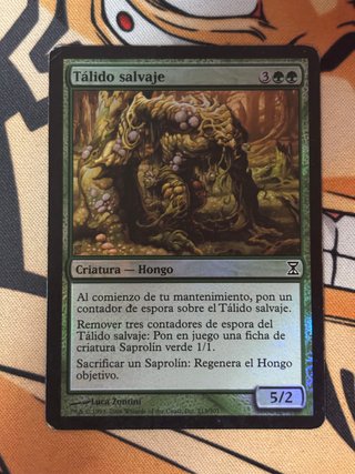Lote 6 Cartas Magic Foil Variadas