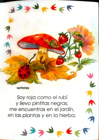 Libro Mis adivinanzas favoritas - Tapa dura