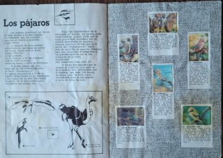 ÁLBUM "EL MUNDO DE LOS ANIMALES EN 3 DIMENSIONES"