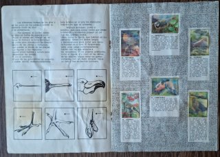 ÁLBUM "EL MUNDO DE LOS ANIMALES EN 3 DIMENSIONES"