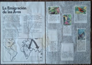 ÁLBUM "EL MUNDO DE LOS ANIMALES EN 3 DIMENSIONES"