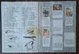 ÁLBUM "EL MUNDO DE LOS ANIMALES EN 3 DIMENSIONES"