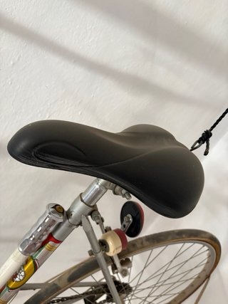 Bicicleta Clásica RAZESA Años 70