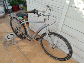 Bicicleta de paseo LEGEND gris