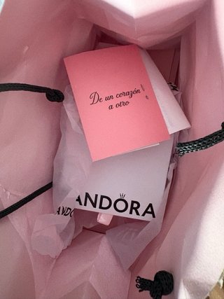 Pulsera Pandora Plata Grabable SIN GRABAR