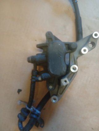 Pinza Freno Trasero Honda SH Scoopy 125 2016