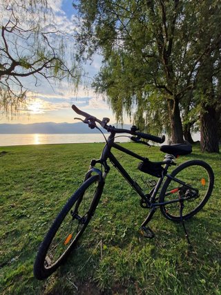 Bicicleta Riverside 500 Gris