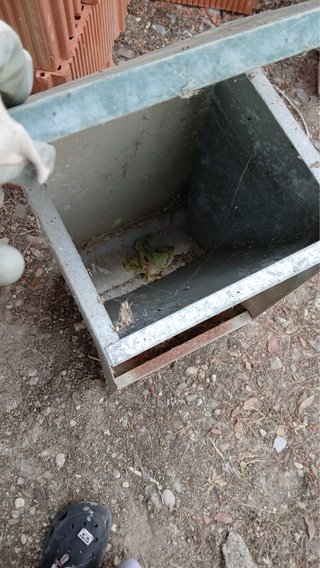 Bebedero/Comedero Metálico para Perros