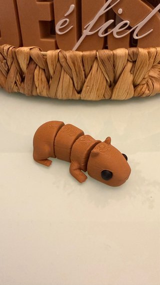Capivara Articulada Laranja e Roxa