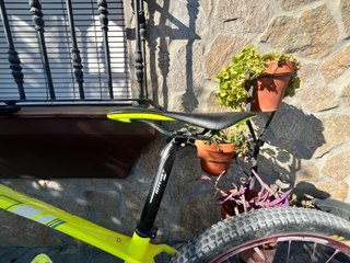 Berria Bravo 2.1 Carbono 29