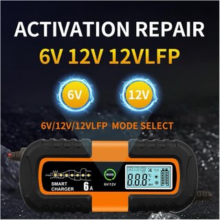 Cargador Inteligente Batería Coche 6A