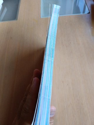 Guida Ufficiale Pokémon Regione Galar