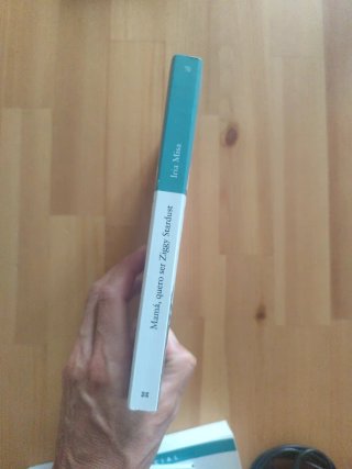 Libro Mamá, quiero ser Ziggy Stardust