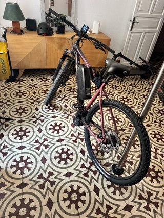 Bicicleta Eléctrica