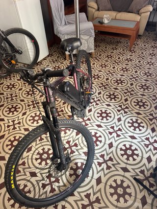 Bicicleta Eléctrica