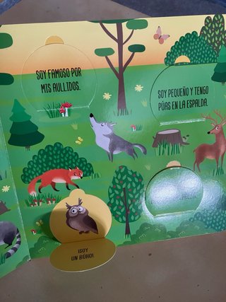 Libros infantiles de solapas
