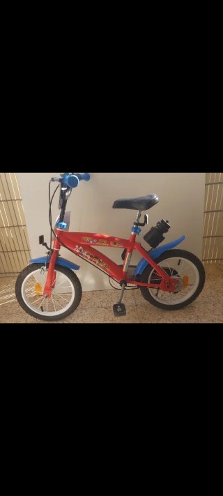 Bicicleta Paw Patrol 14
