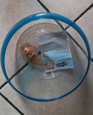 Robo Fish - Pesce Robot Interattivo