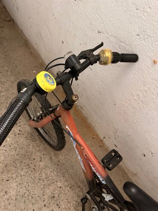 Bici per ragazzi