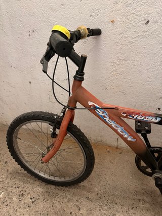 Bici per ragazzi