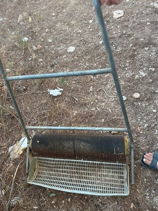 Recogedor de aceitunas