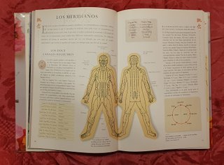 Guia Familiar De Medicina China: La Curacion a ...