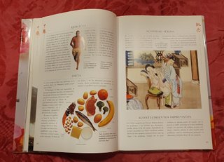 Guia Familiar De Medicina China: La Curacion a ...