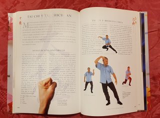 Guia Familiar De Medicina China: La Curacion a ...