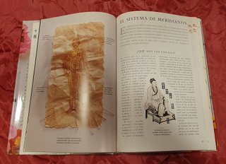 Guia Familiar De Medicina China: La Curacion a ...