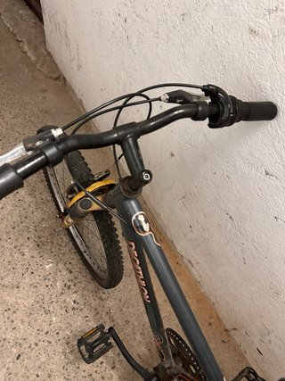 Bici da ragazzo