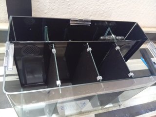 Acuario Betta 4 compartimentos
