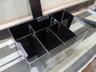 Acuario Betta 4 compartimentos
