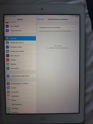 iPad Air A1474 Plata/Blanco