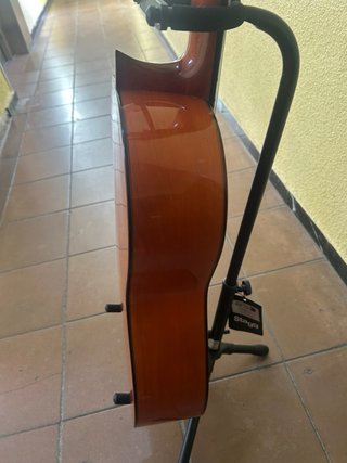 Guitarra R.S.C
