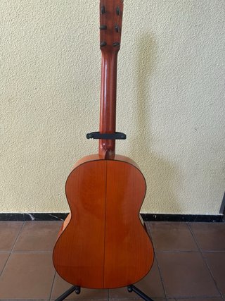 Guitarra R.S.C