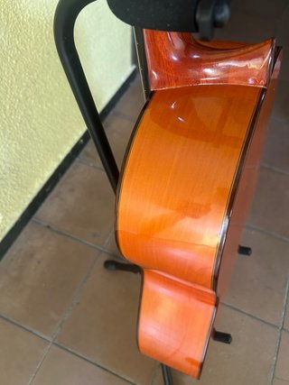 Guitarra R.S.C
