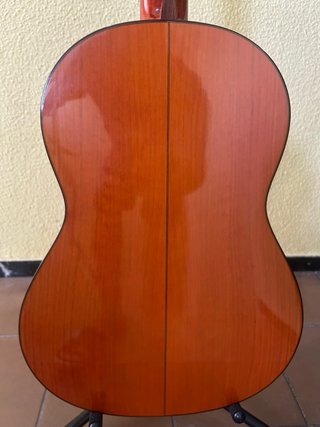 Guitarra R.S.C