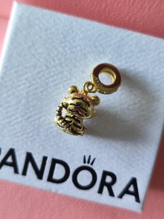 Charm Tigre Dorado y Negro