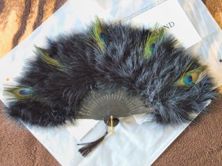 Pack 5 complementos The Great Gatsby