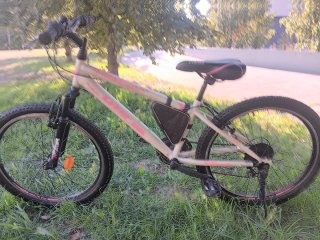Bicicleta niña 24 pulgadas