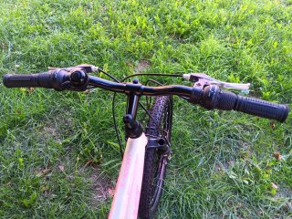 Bicicleta niña 24 pulgadas
