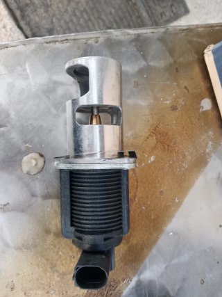 Válvula EGR Renault 1.9