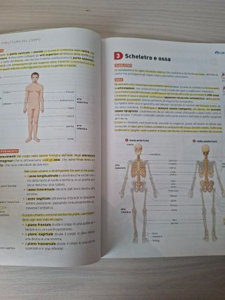 Libro Gym scienze motorie scuola media