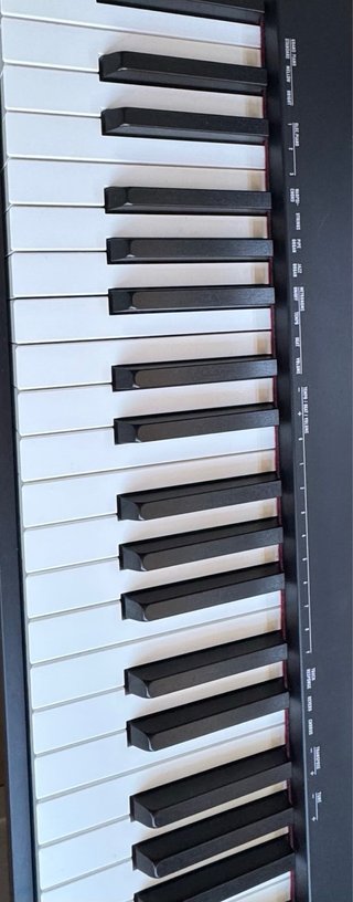 Tastiere Casio CDP-S100 + Sgabello e Supporto