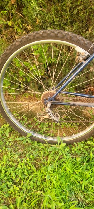 2 Bicicletas Montaña Azules