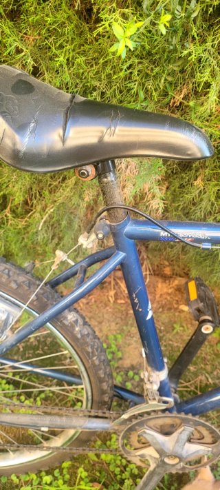 2 Bicicletas Montaña Azules